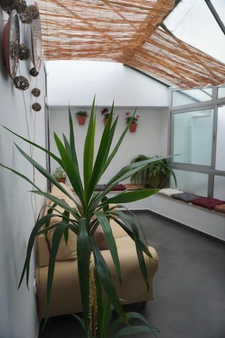 Casa Marcur Santa Cruz Villa เซบีญา ภายนอก รูปภาพ